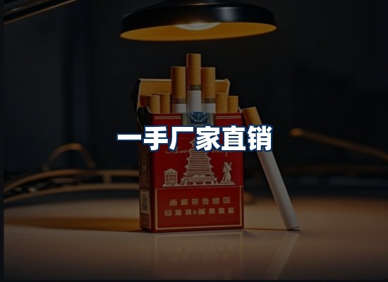 专业团队办公环境